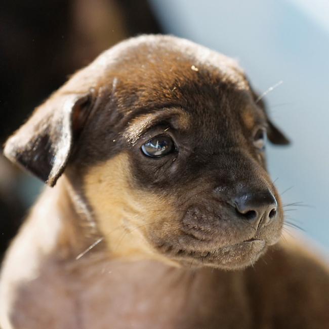 Famille et amis-MAI17-021